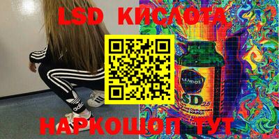 стафф Дубна