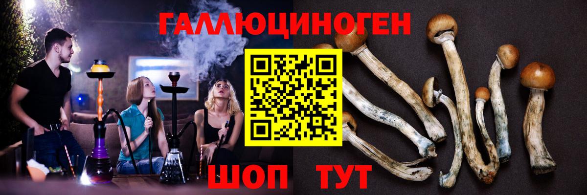 Псилоцибиновые грибы GOLDEN TEACHER Красноармейск